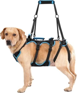 Lafoty Dog Lift Harness for Medium Male Dogs Friendly, 2 in 1 Detachable Help - Picture 1 of 12