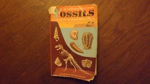 Fossils: A Guide To Prehistoric Life. Golden Nature Guide (Paperback) 1962 - Picture 1 of 3