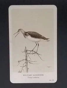 General Cigar Company Trading Card - No. 16 Solitary Sandpiper - Card 3 - Bild 1 von 2