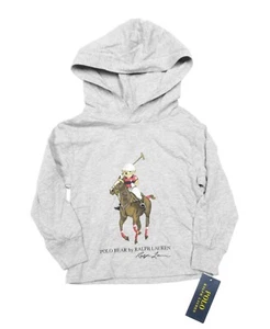 Polo Ralph Lauren Boys Grey Heather Polo Bear Graphic Print Hooded T Shirt - Picture 1 of 4