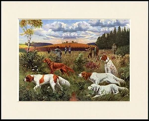 IRISH RED AND WHITE SETTER SHOOTING SCENE GREAT DOG PRINT MOUNTED READY TO FRAME - Picture 1 of 1