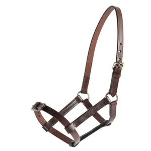 Foal Brown Leather Halter With Brass Fitings - Picture 1 of 1