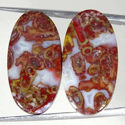 28.10Cts Natural Red Palm Root Agate Oval Pair Cabochon Loose Gemstone 13x25x5mm - Image 1 of 4