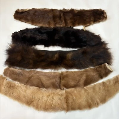 Lote Varios Skins Surtidos, Collares. Visón... Foto 1 de 4