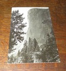 RPPC POSTCARD ANSEL ADAMS CORRESPONDENCE BY WIFE VIRGINIA-ANSELS MOM DIED RARE 