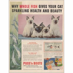 1954 Puss n Boots Cat Food: Whole Fish Gives Your Cat Vintage Print Ad - Picture 1 of 1