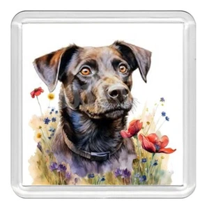 Patterdale Terrier Perro y Flor Acrílico Posavasos Novedad Bebida Taza Mat Gran Regalo - Imagen 1 de 1
