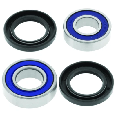 QuadBoss Lower Steering Bearing Kit for 06-20 Can-Am DS 250 | 413363 - Image 1 of 3