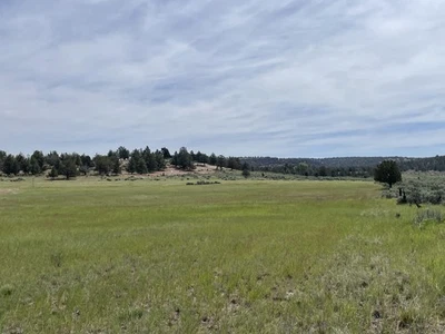 Lote de Terra da Califórnia à Venda .40 Acres, Nível & Com Eletricidade, Água & Esgoto! - Imagem 1 de 4