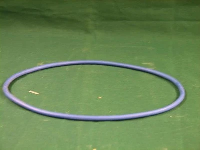 Genuine Hayward NorthStar Strainer Cover O-ring Gasket SPx4000s 2008 Later - Image 1 of 2