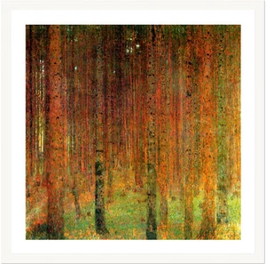 Pine Forest II by Gustav Klimt 59cm x 59cm Framed White - Picture 1 of 1