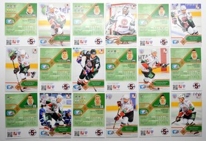 2012-13 KHL Ak Bars Kazan - Pick a Player Card