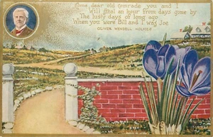 Postal State Flowers Oliver Wendell Holmes dividida 1908 sin publicar - Imagen 1 de 2