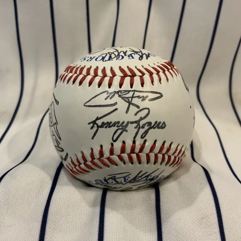 Detroit Tigers Facsimile Signature Souvenir Collectible Baseball Ball Cover