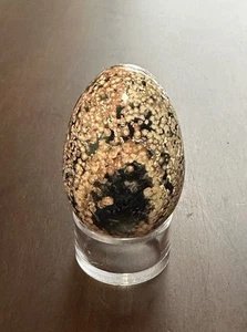 Natürliches rundes Auge Ozean Jaspis Achat Quarz Kristall Palme Stein Mineral Präparat - Bild 1 von 6