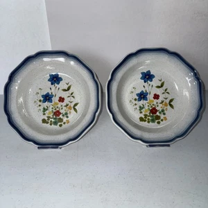 Mikasa Country Club FRISCHE STECKLINGE CA506 Suppe Pasta Schüssel 8 1/2" Set 2 weiß/blau - Bild 1 von 3