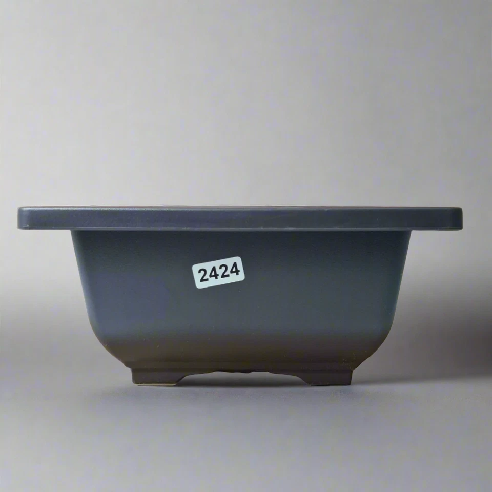YORKSHIRE BONSAI Plastic Bonsai Training Pot | Square | 17cm x 8cm