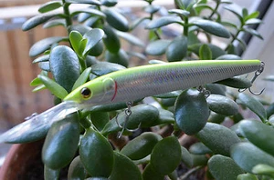 TAKE Wobbler Jerkbait Deep Trolling Schlepp Crankbait  Zander 12cm, 15,8gr  #1 - Bild 1 von 1