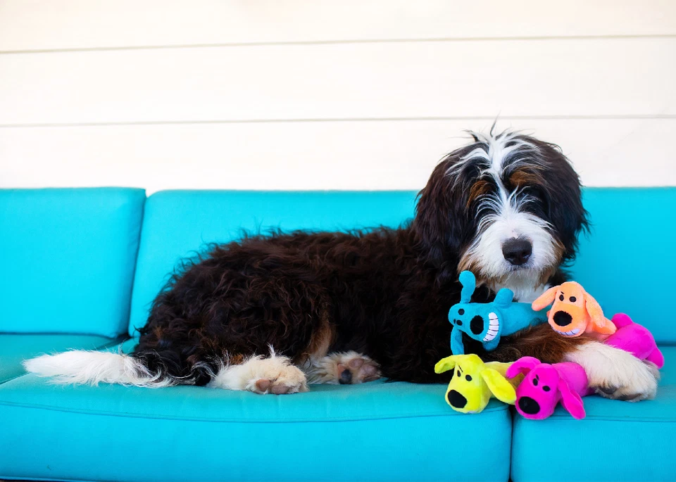 MultiPet Loofa Dog Squeaker Plush Cuddle toy. - Image 1 of 1