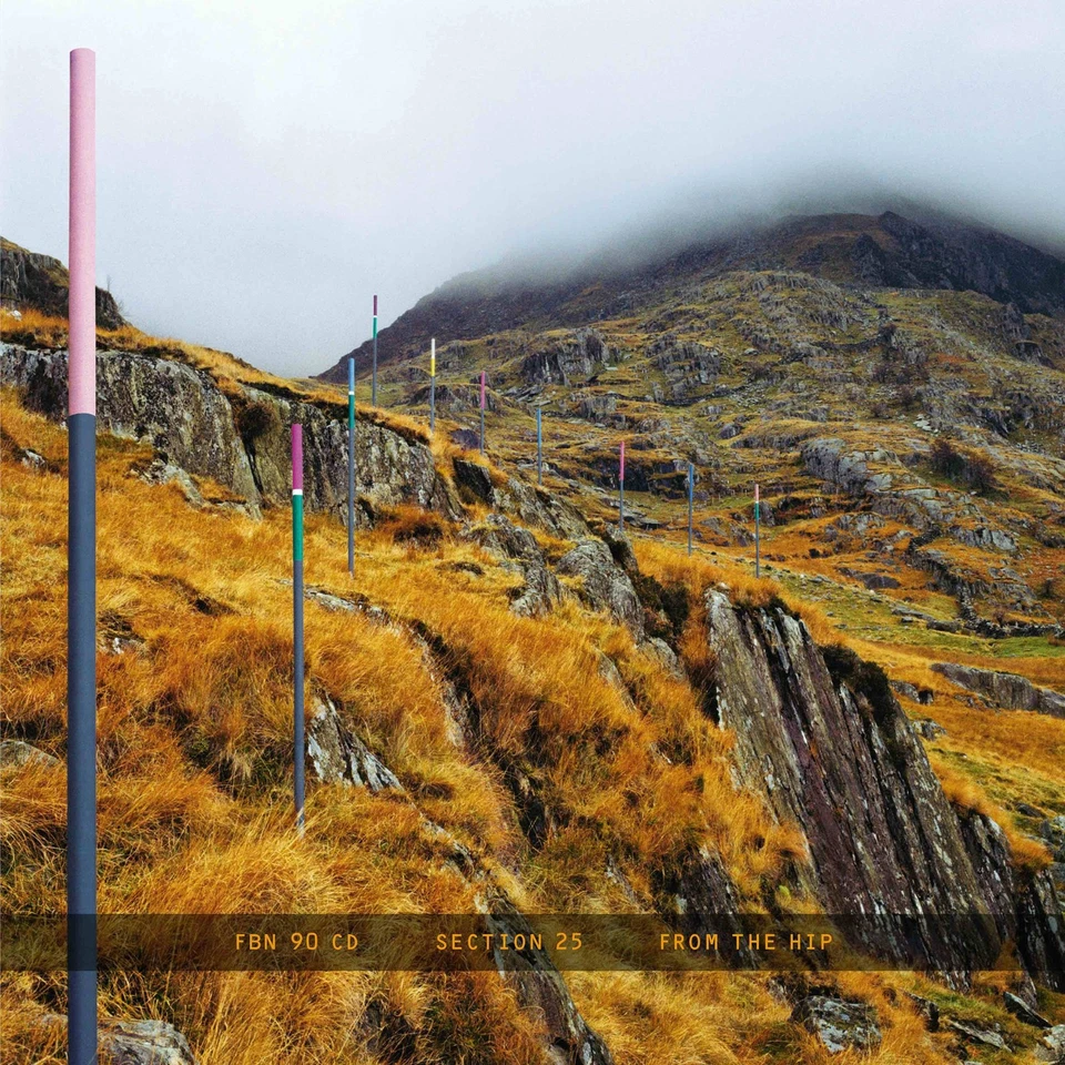 Section 25 From the Hip (CD) Box Set - Bild 1 von 1