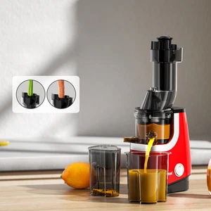 Spector Cold Press Slow Juicer Whole Fruit Juice Extractor Vegetable Processor - Picture 1 of 11