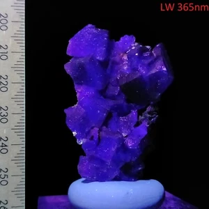 Fluorite fluorescent purple crystal cluster long wave mineral specimen 264ct - Bild 1 von 9
