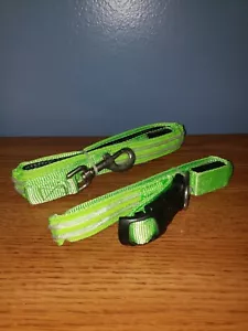 LED Light up Dog Collar AND Bright Flashing Adjustable Leash Pet Night Safety - Picture 1 of 1