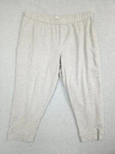 Eileen Fisher Hose Damen Größe 2X grau Tencel Jogginghose mit Taschen Jogger - Bild 1 von 11