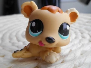 petshop authentic LPS ours oursons triplés bear baby #1554 - Photo 1/3