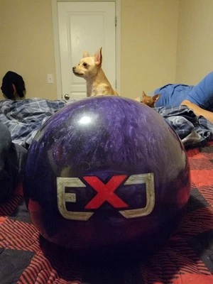 Edição limitada 15 lb ExJ Sigma novo na caixa - Imagem 1 de 4