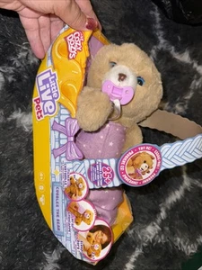Little Live Pets Cozy Dozy Cubbles The Bear Over 25 Sounds & Reactions New - Picture 1 of 1