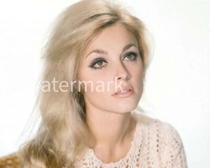 Sharon Tate Vintage ⭐Hollywood⭐ 1960s - 8X10 PUBLICITY PHOTO - Celebrities - Picture 1 of 1