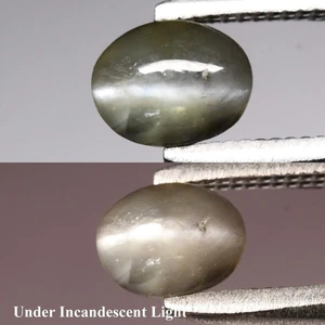 💎 0.70ct Oval Cabochon Natural Green Cat's Eye Alexandrite - Russia Gemstone - Picture 1 of 6