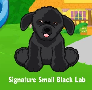 Webkinz Classic Signature Small Black Lab Pet Code Only - Bild 1 von 1