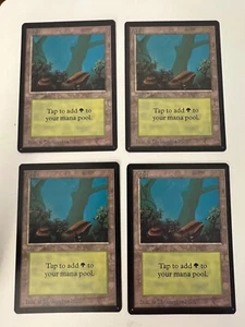 Magic The Gathering Magic The Gathering Bosque v.2 (Niebla) Casi Nuevo (Beta Bob) - Imagen 1 de 3