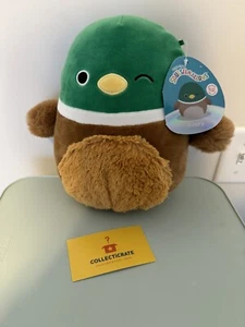 Neu Squishmallows Avery Fuzzy Belly Winking 8" Learning Express exklusives Spielzeug - Bild 1 von 2