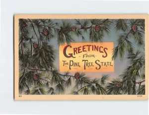 Postcard Greetings From The Pine Tree State Maine - Picture 1 of 2