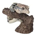 Japan Exclusive Bandai Namco Crested Gecko Lizard Figure A