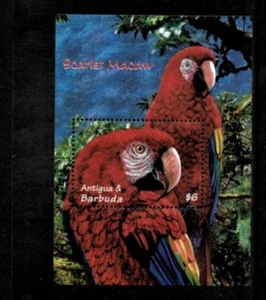 Antigua 2000 - pappagalli uccellini - foglio francobollo souvenir - Scott #2397 - nuovo di zecca - Foto 1 di 1