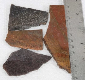 Telaraña Agatizada 3.2 OZ Dinosaurio Gema Hueso 4 Losa Lote Áspero V2 - Imagen 1 de 23