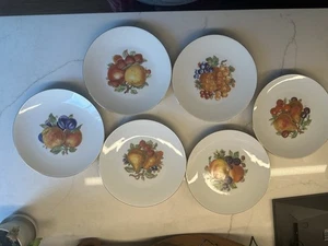 Set of 6 Bareuther Waldsassen Bavaria 8” Fruit Gold Trim Salad/Dessert Plates - Picture 1 of 14