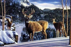 Kim Norlien "Morning View" Deer Buck Print 10 x 7 - Picture 1 of 1