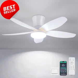 36" Ceiling Fan with Light, Remote/App Control, DC Reversible, LED, In/Outdoor - Picture 1 of 11