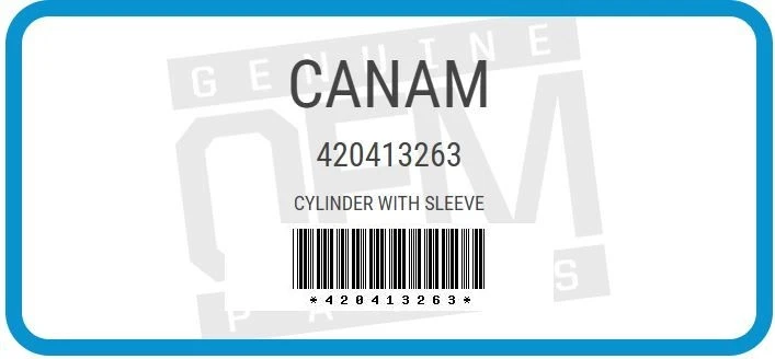 OEM CAN AM CYLINDER WITH SLEEVE 420413263 - Image 1 of 1