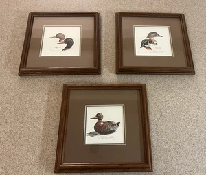 3 Original Robert Hilty Framed Matted Signed Numbered Duck Watercolor Prints - Picture 1 of 11
