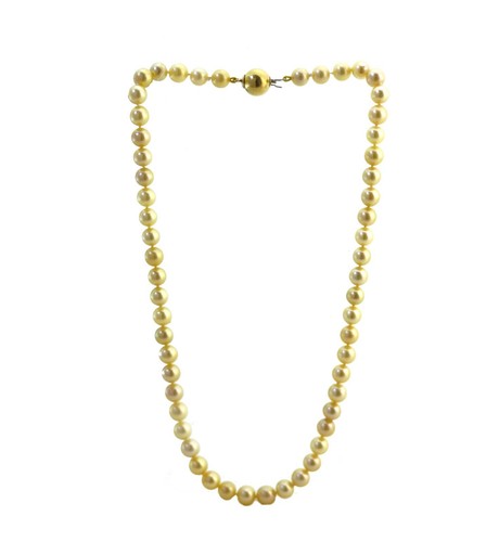 Pearl Choker With 18k Yellow Gold Ball Clasp J22554