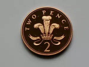 1991 UK (British) 2 Pence Queen Elizabeth II Proof Coin - MS++ UNC cameo-lustre - Picture 1 of 2