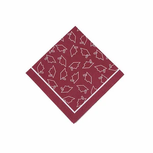 Burgundy Graduation Beverage Napkins, Party Supplies, 50 Pieces - Picture 1 of 1