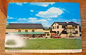 Sperryville Emporium Postcard Antique Store Shenandoah Valley Virginia VA - Picture 1 of 2