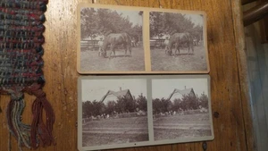 Antique Stereoview Cards Oscar B. Photographer, Children, Horse - Picture 1 of 2